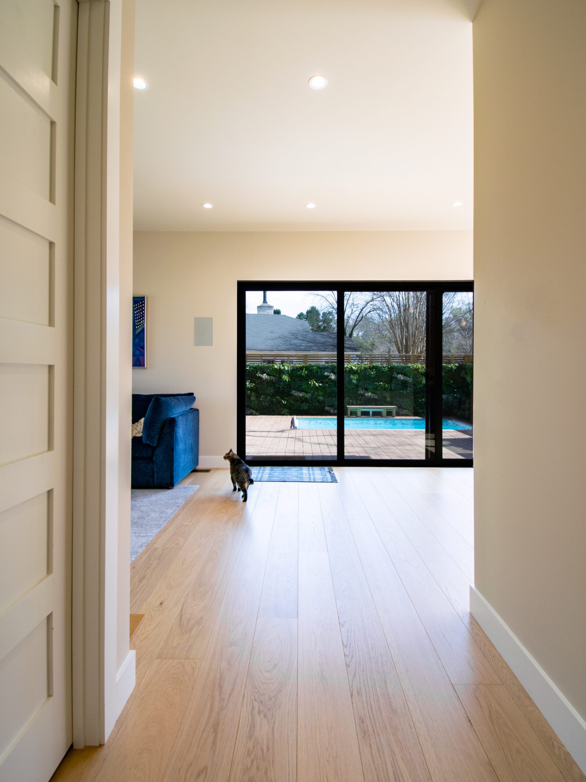 Bifold door leading to pool deck. White oak flooring modern interior