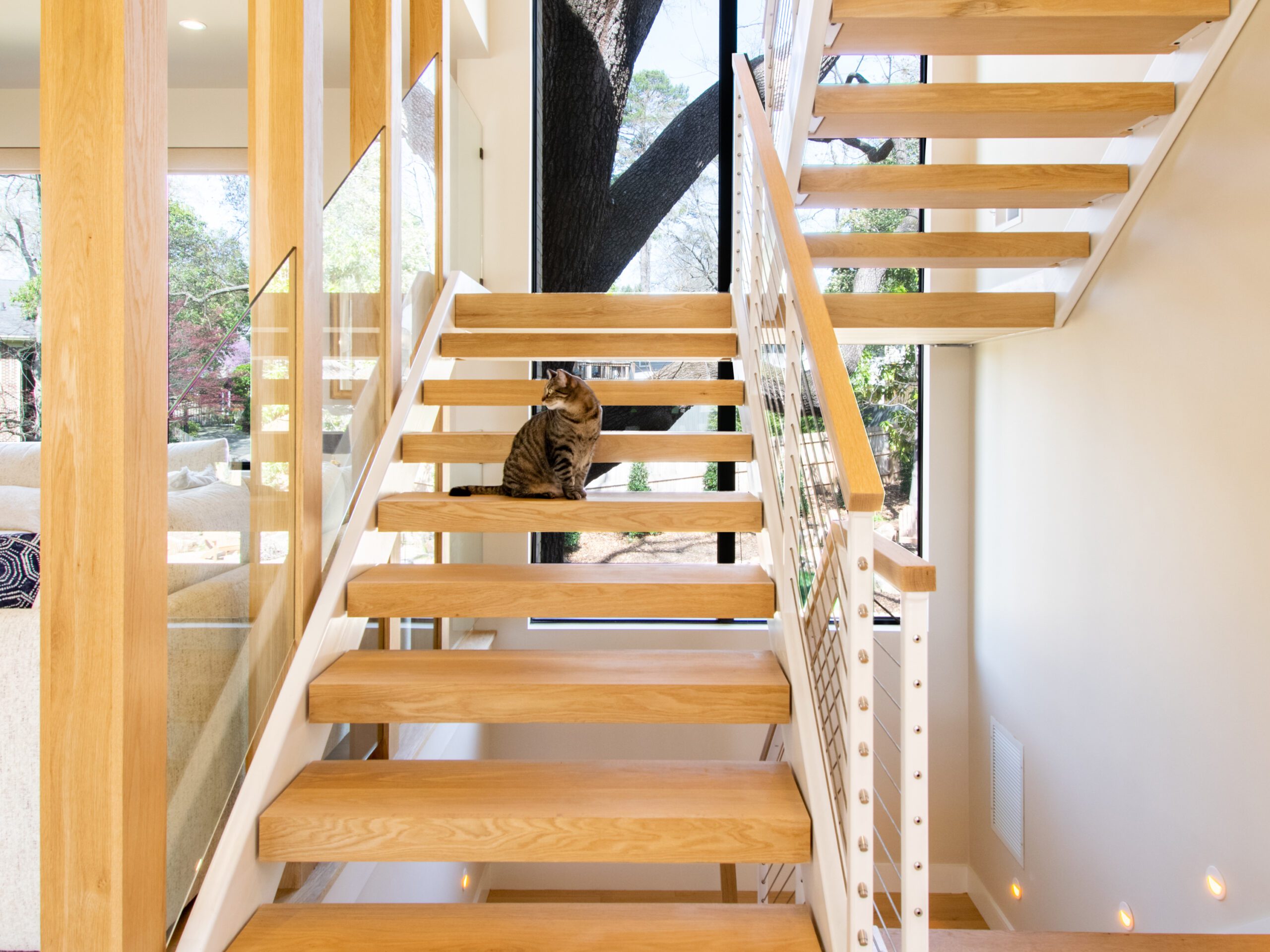 Cat sitting on Modern open riser steel stair with white oak treads