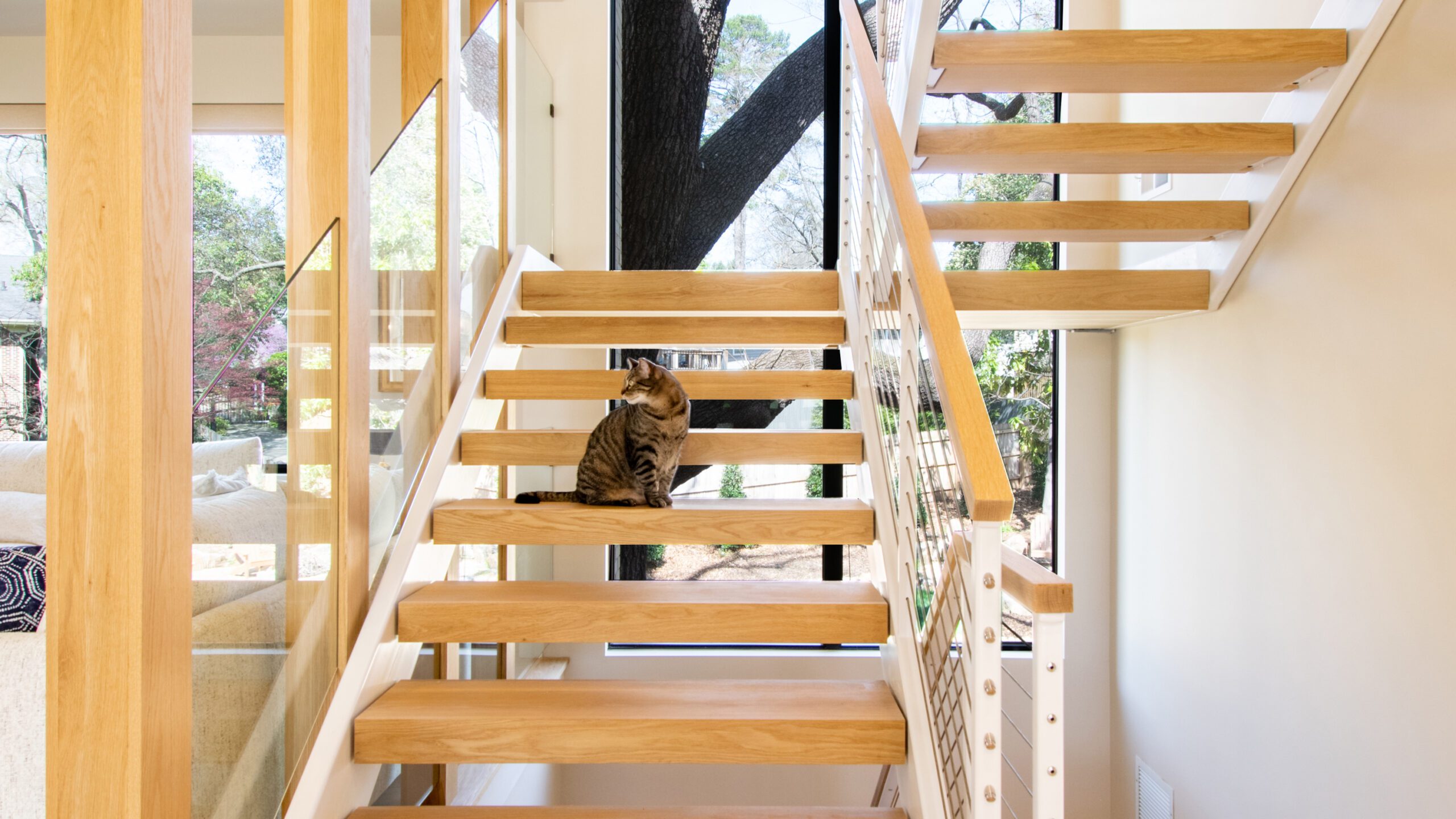 Cat sitting on Modern open riser steel stair with white oak treads